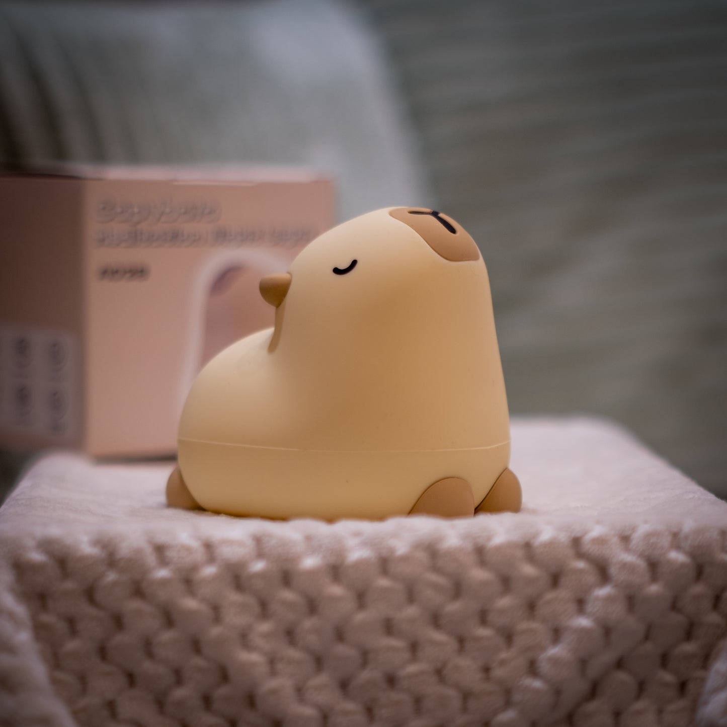 Kapi a Capybara - Nočná LED lampa