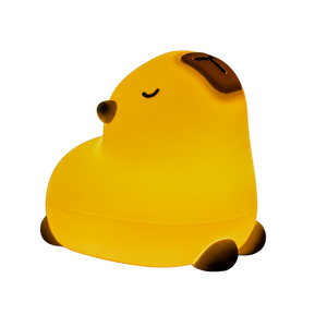 Kapi